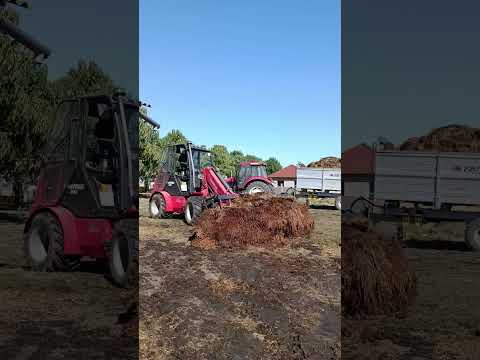 https://www.youtube.com/embed/oQ5IbHjvlDU