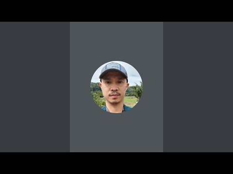 Royal Match is live! - LEVEL 2390