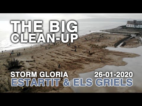 The big clean-up after storm Gloria in Estartit and Els Griells  - 26-01-2020