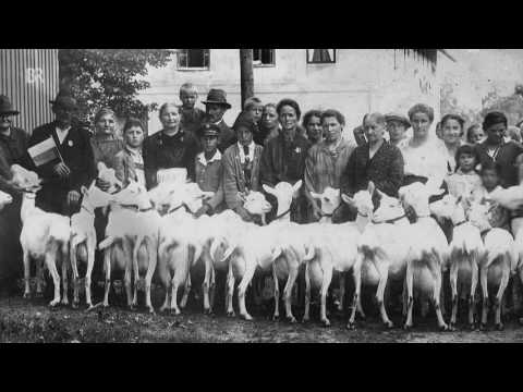Bergwerk in Penzberg: 50 Jahre Schicht im Schacht | Zwischen Spessart und Karwendel | BR
