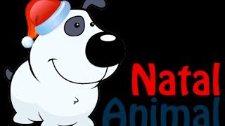 preview picture of video 'Natal Animal'