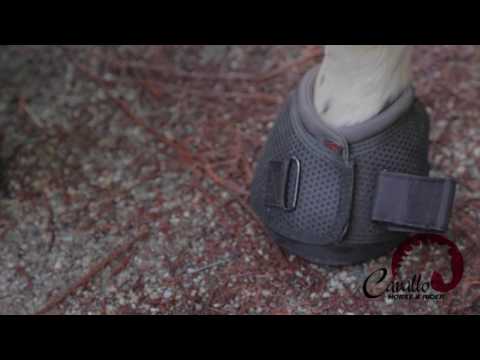 download lagu mp3 mp4 Cavallo Com, download lagu Cavallo Com gratis, unduh video klip Cavallo Com