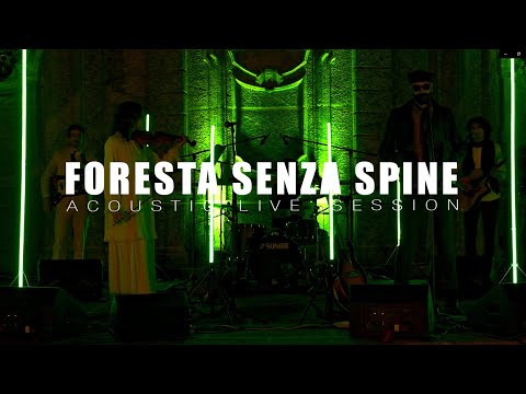 Foresta Senza Spine