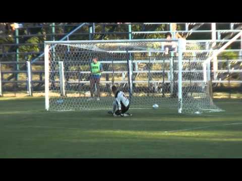 Callatis Mangalia-Fc Viitorul 0-2.mpg