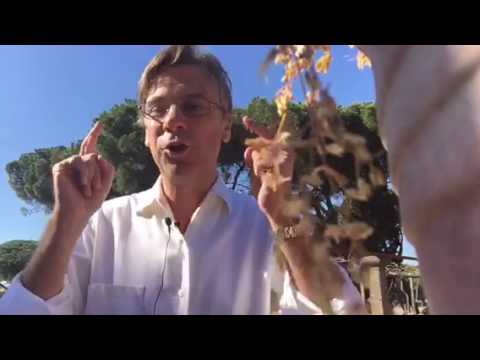 Zuppa di Porro 28marzo. L'austria non vuole 4mila immigrati. Ma loro non sono populisti