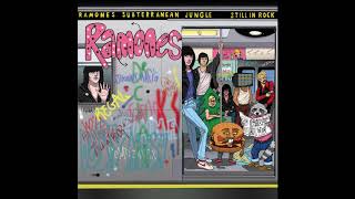 Wild Raccoon - My my kind of girl (Ramones cover)