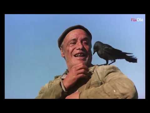 'Los santos inocentes' de Miguel Delibes [HD] | FlixOlé