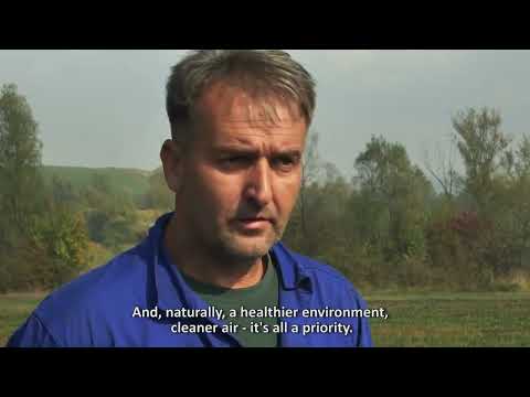 Willow - a tree gives jobs to miners in Bosnia
