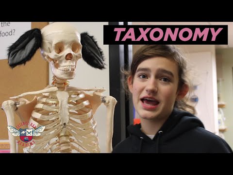 Taxonomy - Science Rap Academy