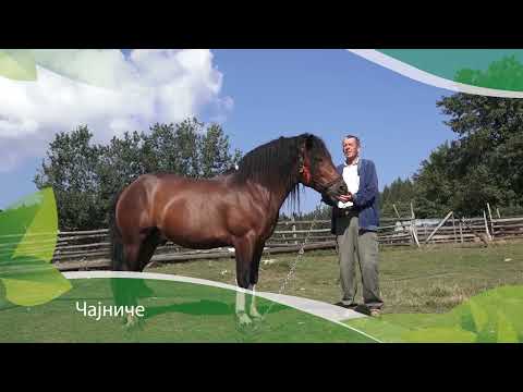 Agro karavan 03.09.2023. NAJAVA