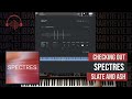 Checking Out Spectres By Slate And Ash