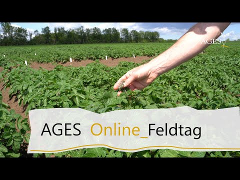 AGES Online-Feldtag "Großnondorf" - Vortrag Söllinger // Sortenprüfung, Prüfkriterien, Sortenversuch