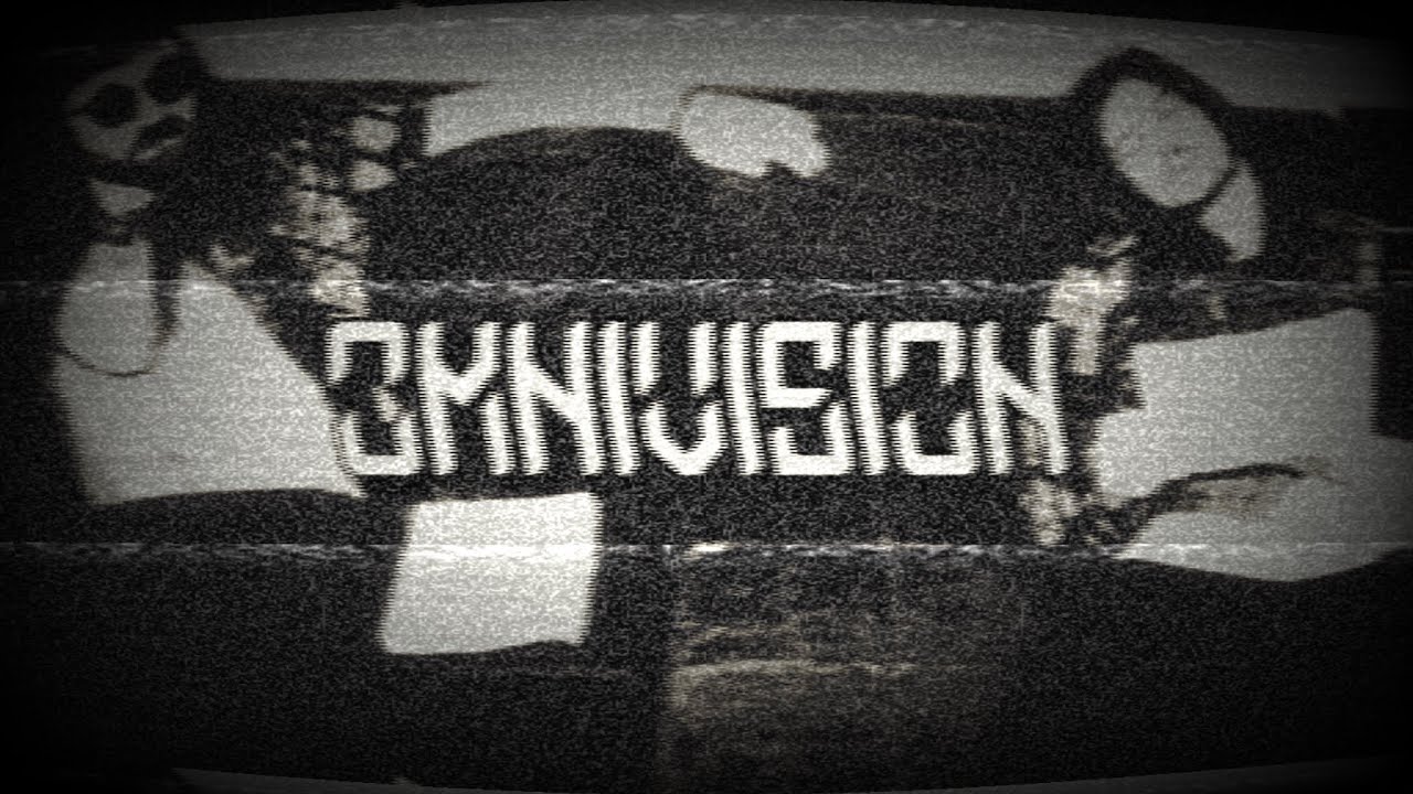 omnivision