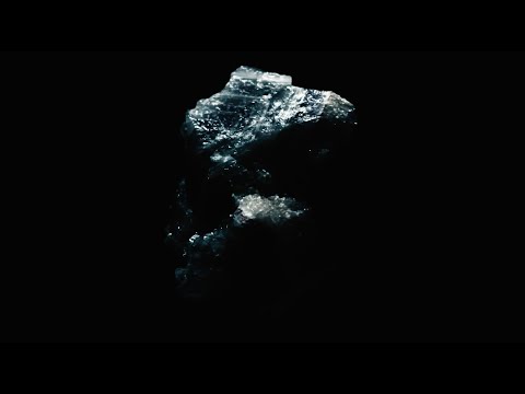 La Jungle - Feu l'Homme (Official music video)