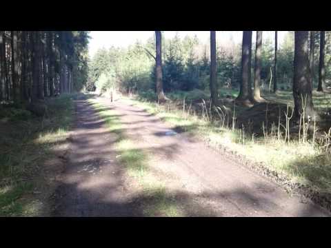 Masožravá žirafa ( tak stlašně nebezpečná a nedělám si srandu! :D )