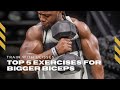 My Top 5 Exercises for Bigger Biceps