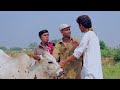 Aik Lakh Mein Behtreen Gaye Fraudi Jori Ka Kamal Pothwari Funny Drama Hameed Babar Ramzani