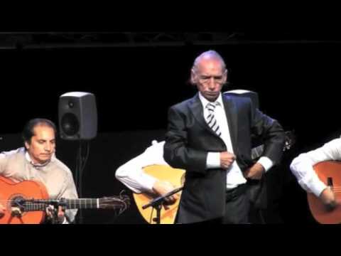 Flamenco Extremadura 1