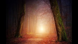 L'UNIVERS DE BRESLEV