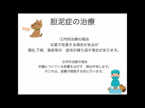 胆泥とは何か、症状、原因、治療法 - 健康ラボ