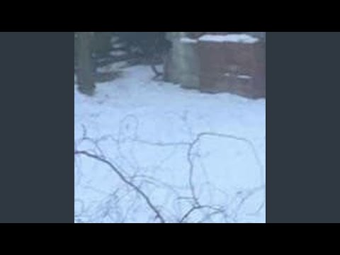 It is cold and i wanna hug you