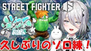 [Vtub] 蘇菲 快打6 (收台)