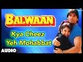 Balwaan Kya Cheez Yeh Mohabbat Full Audio Song Sunil Shetty Divya Bharti