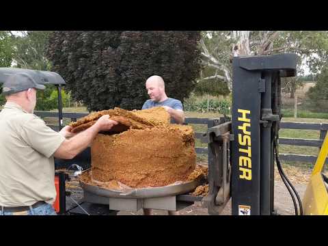 2020 Cider Vintage - dry apple pulp Mori Enoveneta Basket Press