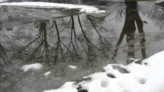 peach moon-the unicorns(for photo class.)