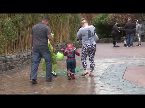 Turtle Back Zoo Halloween