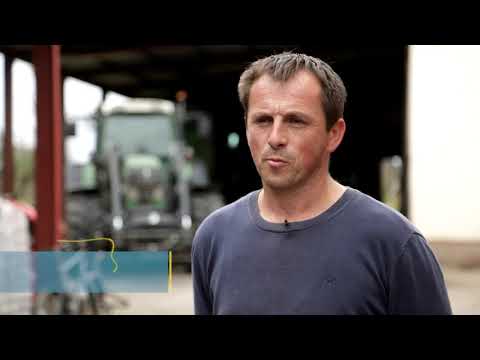 DEKALB hibridi kukuruza - Ivica Baranasic i Simo Marjanovic