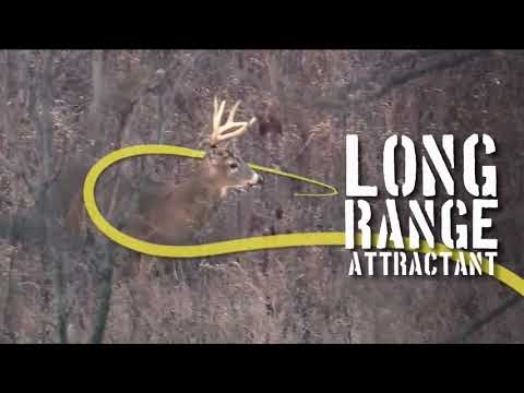 デッドリーコーン