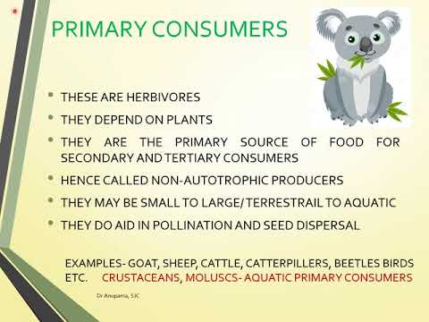 Introduction to Ecosystem