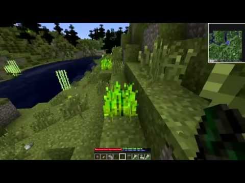 Channel Information (B78 Terrafirmacraft S02)