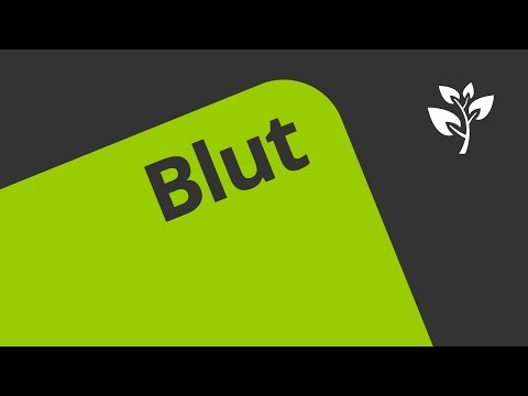 Aus welchen Bestandteilen besteht Blut? | Biologie | Biologie des Menschen (Mittelstufe)