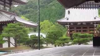 preview picture of video '蓮華院誕生寺奥ノ院(Taking a walk of the Okunoin Temple) in Tamana City'