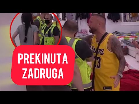 PREKINUTA ZADRUGA: DISKVALIFIKACIJA! Tara iz SVE SNAGE udarila Ša PEESNIOM U GLAVU! JEZIVO