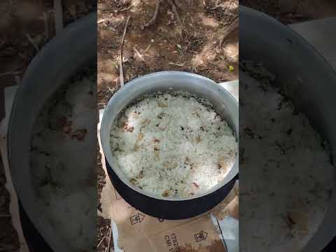 Grupo de pesca rede rasgada Agricolandia Piauí