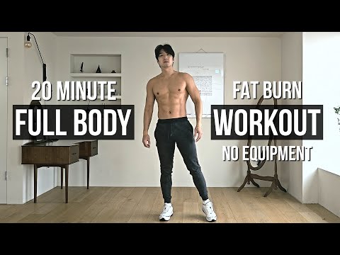 20 MIN FULL BODY WORKOUT AT HOME (No Jumping | No Equipment)