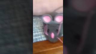 I LOVE KITTEN 1885!!!!!!!!!!!!