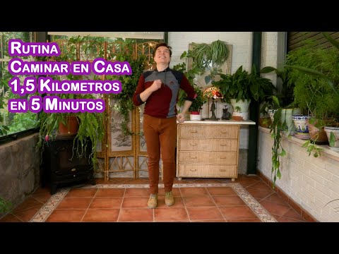 1.5 Kilometer Walking Routine at Home in 5 Minutes