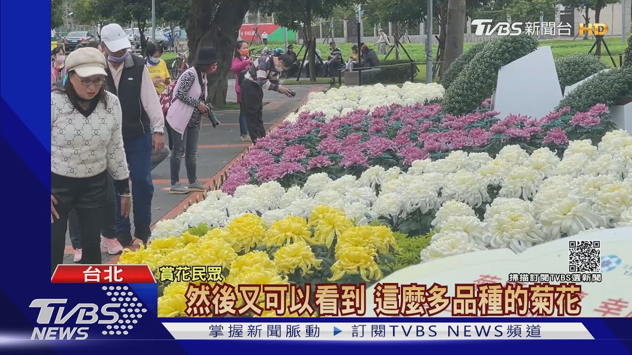 週二冷氣團報到！北部溫急降　週三最冷13至14度