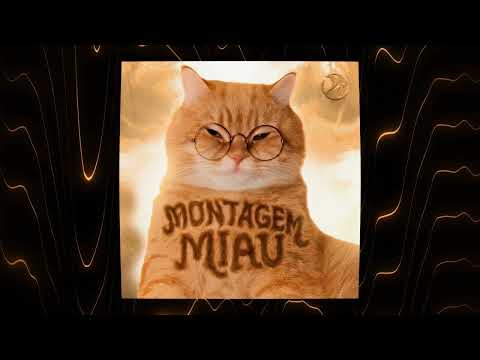 MONTAGEM MIAU
