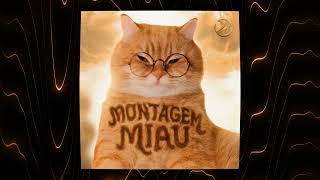 Download lagu MONTAGEM MIAU mp3 Download lagu MONTAGEM MIAU mp3