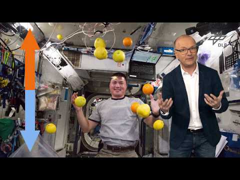 DLR_next - Mit Alex ins All: Die Schwerelosigkeit