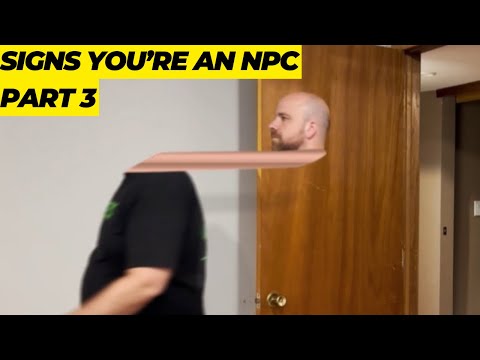Signs You’re an NPC part 3
