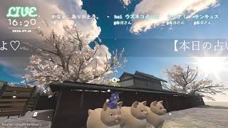 🔴LIVE CAMERA　ウズネコ　【参加型占いテーマ：すこし未来のあなたの状態】2026.07.16