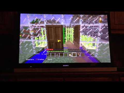 La farm di cactus e canne da zucchero