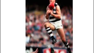 Alternative Geelong Cats theme song