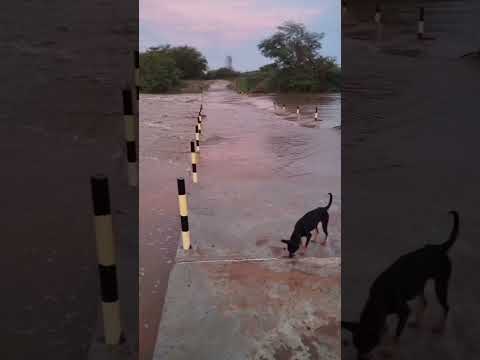 olha como os Rios amanheceu hoje no município de Gurjão paraíba